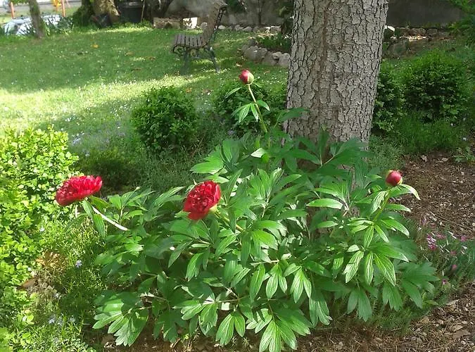 La Baronata * Pescosansonesco